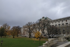 IMG_20191121_094750