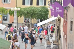 VAL_1177