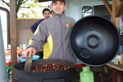 Kostanjev piknik (28)
