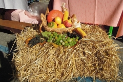 DSCN0381
