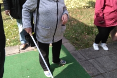 6.3.2019-031-3