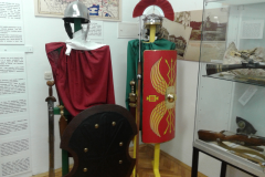 veterani 1