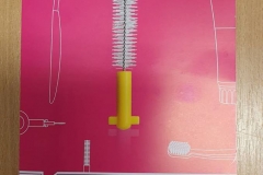 56352722_2248076111921676_3186390856277950464_n