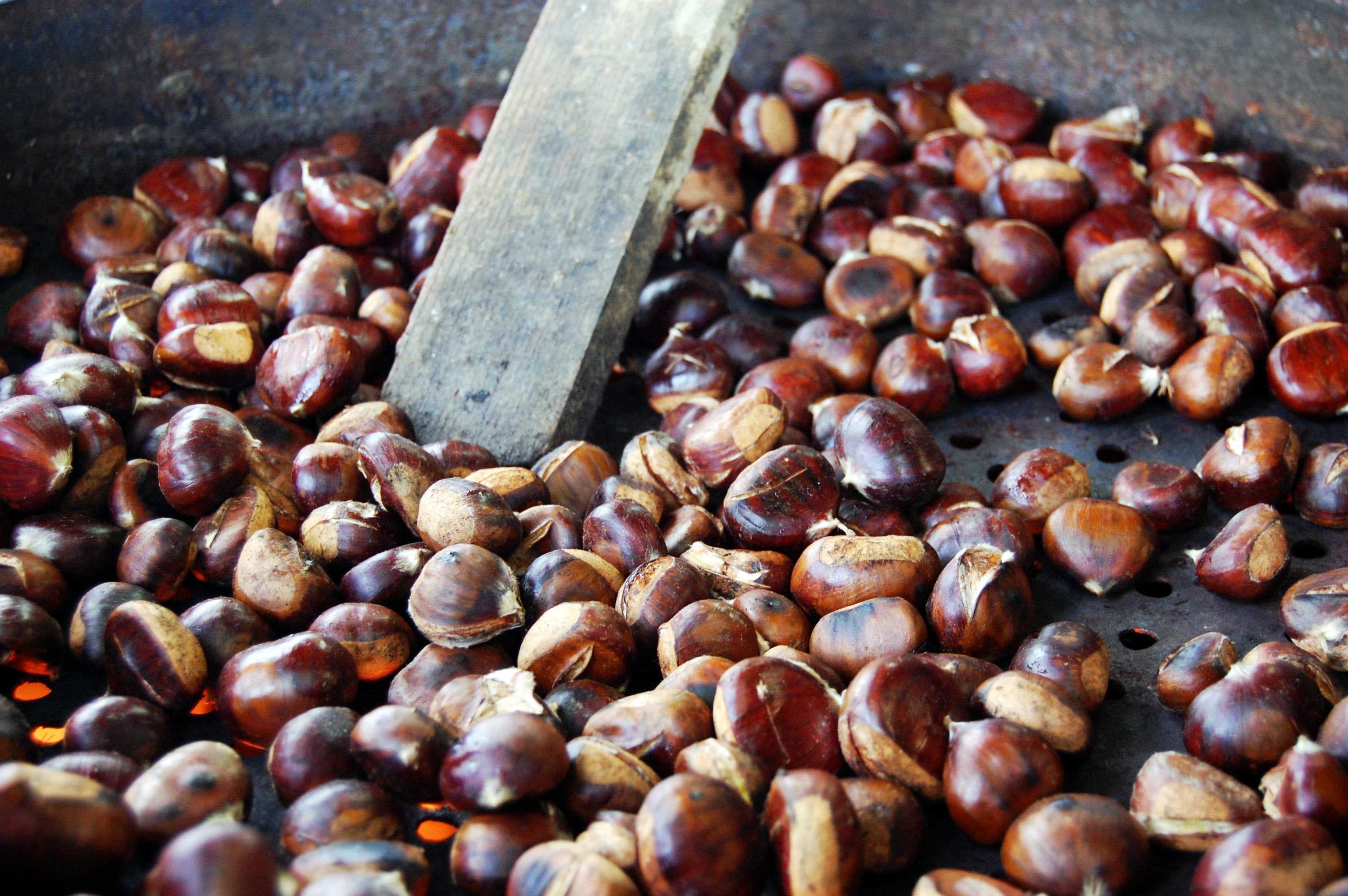 Peka kostanjev