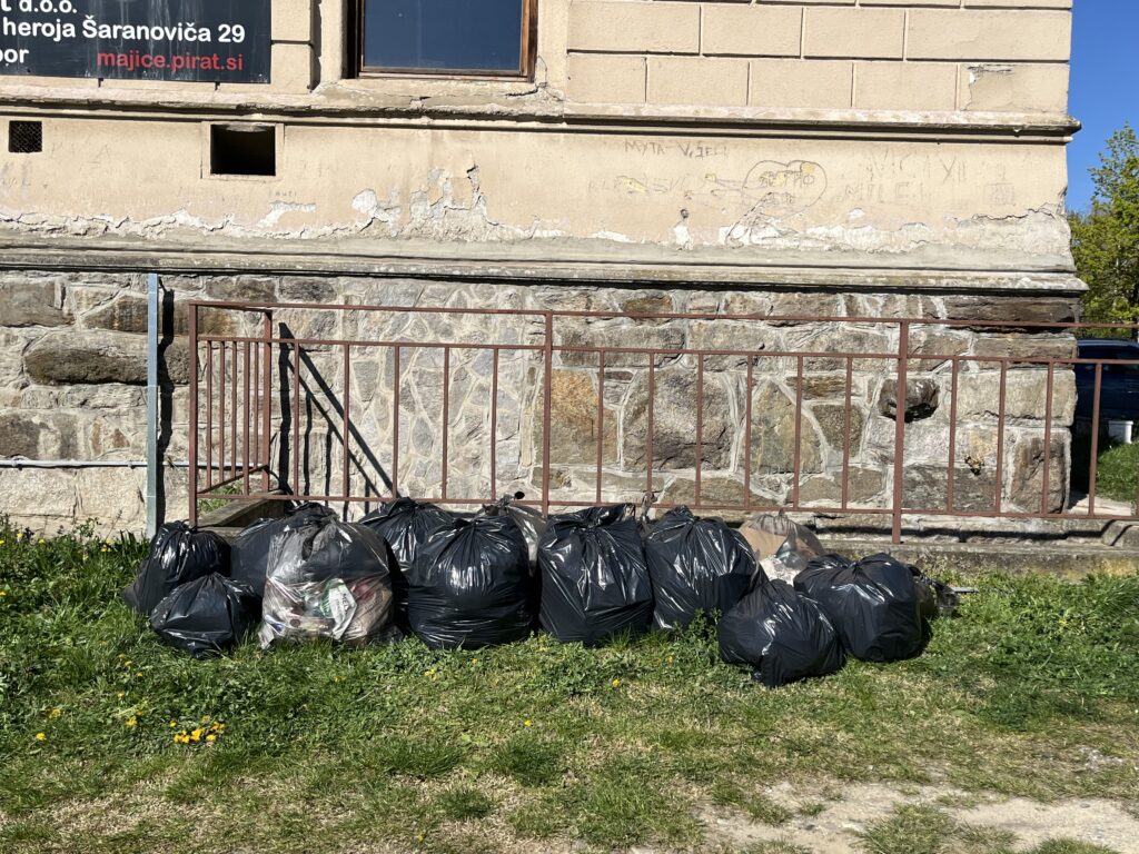 UDELEŽBA V ČISTILNI AKCIJI